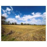 Online Auction 59 Acres of Prime Tillable Farmland