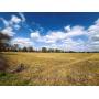 Online Auction 59 Acres of Prime Tillable Farmland