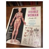 Mid Century The Visible Woman Medical Model Kit