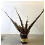 Can Of Large Feathers & Pinecones
