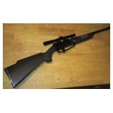 BB / Pellet Gun With Daisy Scope