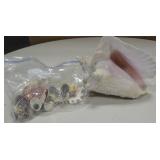 Conch Shell & Bag Of Various Shells Turned Magnets