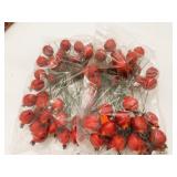36x Pomegranate Picks