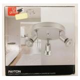 New Globe 3 Light Fixture
