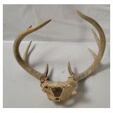 Deer Antlers Decor