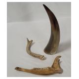 Steer Horn, Deer Jawbone & Antler
