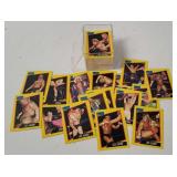 1991 Impel Wcw Wrestling Cards
