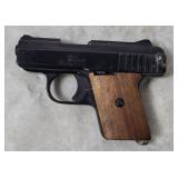 Raven Arms .25 Cal Pocket Pistol P-25