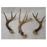 3 Decorative Deer Antlers