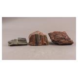 Natural Petrified Wood Pieces 3pc