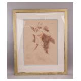 Charcoal on Paper Signed Paul Cadmus T. Eaton