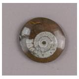 Ammonite Polished Fossil Cabochon