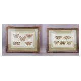 Vintage Lithograph Paper by Giuseppe Ferrarini 2pc