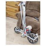 Push planter with seed plates