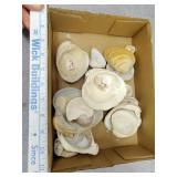 Seashells