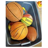 Sports balls
