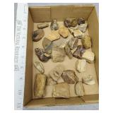 Rocks maybe a couple pieces petrified wood