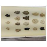 Arrowheads in display case