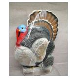Blow mold turkey no light
