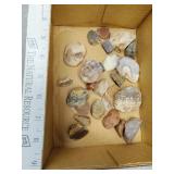 Rocks