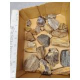 Rock and petrified wood
