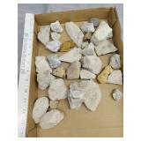 Fossils and other rocks