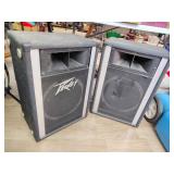 Peavey speakers One has hole in front