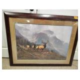 Elk print 36x 44 no show