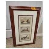 Duck print no ship