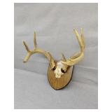 Antlers