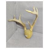 Antlers
