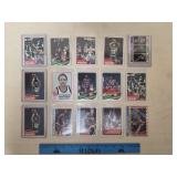 Indiana Pacers Topps NBA Basketball Card