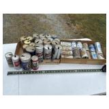 Beer Can Collection- empty