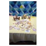 Assortment of seashells and sand dollars