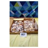 Assortment of sea shells