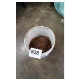 Bucket with nails
