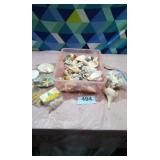 Assortment of sea shells in tub