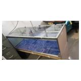 5 ft x 38x 21 inch glass display case w shelves,