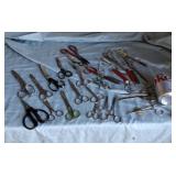 Assorted Scissors