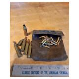 Assorted Ammo w Pouch