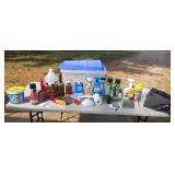 Tote full of cleaners hornet spray weed killer