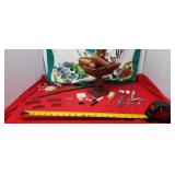 Wooden Fruit, Dental Tools, compass