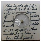 Small Pearl from Hawaii Island