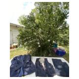 Size 36 L pants, size 42 L vest and long coat