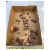 Box of Tantalite