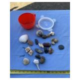 Sea shells and rocks with container and lid
