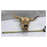 STEER SKULL 21.5 Inch WIDE Horns BULL HORN