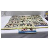Texas & Illinois License Plates
