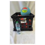 Sterilite Crate & 3 Playground Balls