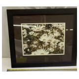 Field of Daisies Landscape Framed Print